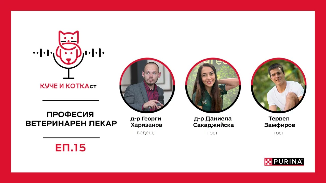 YouTube Video (ErG-Lz3h5TY)