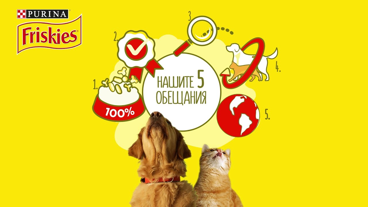 5-те обещания на Friskies®