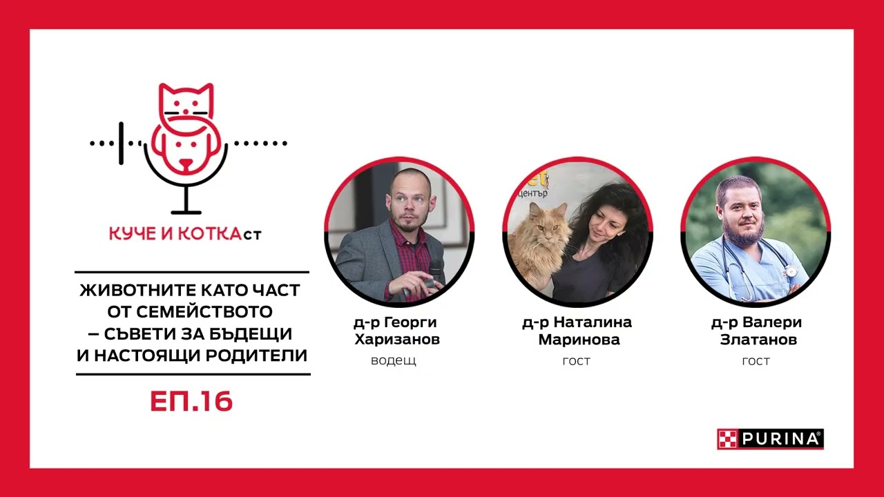 YouTube | КУЧЕ И КОТКАст | Епизод 16: Живот с деца и животни