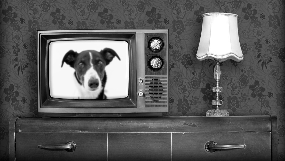 Черно-бял стар телевизор с включено куче